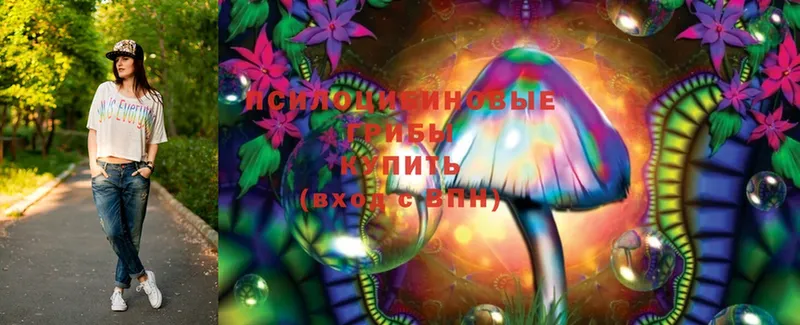 Псилоцибиновые грибы Cubensis  цена наркотик  МЕГА   Болгар 